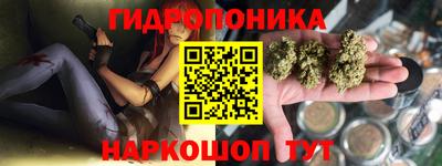 spice Кингисепп
