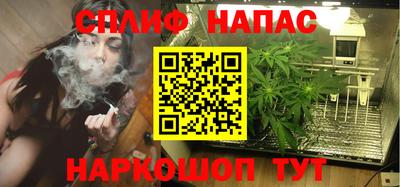 spice Кингисепп
