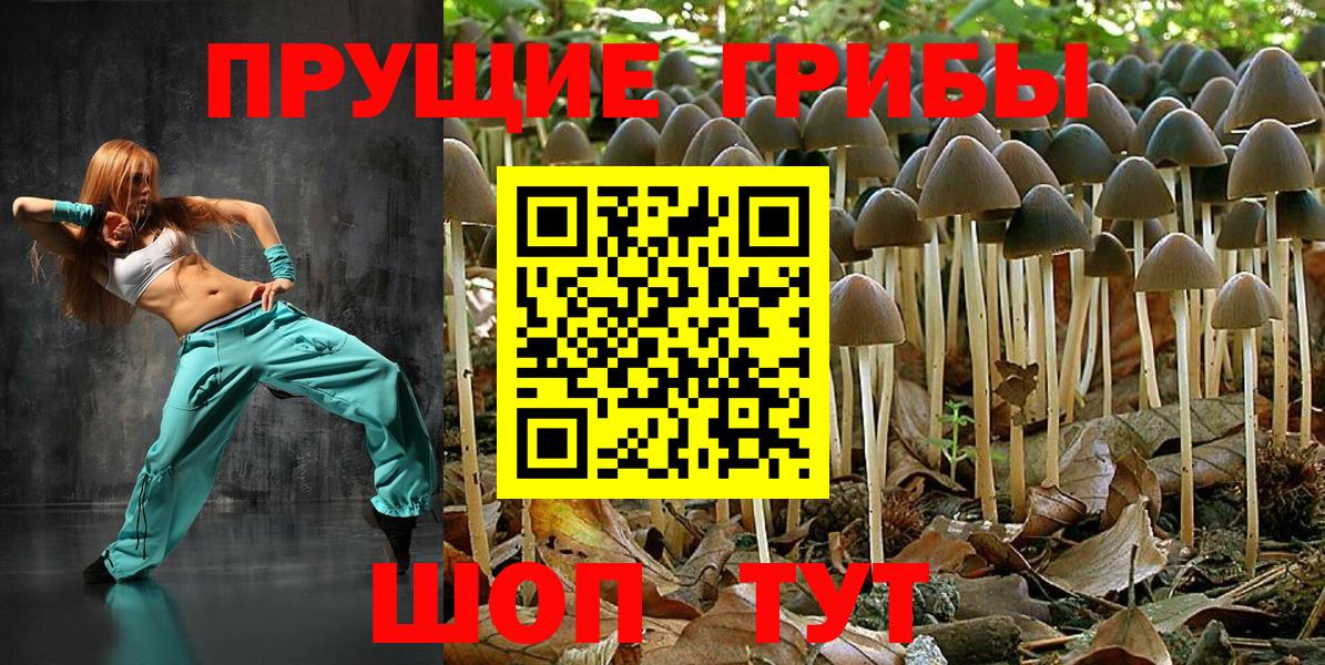 Сергиев Посад  купить закладку  Вход с VPN  Псилоцибиновые грибы мицелий 